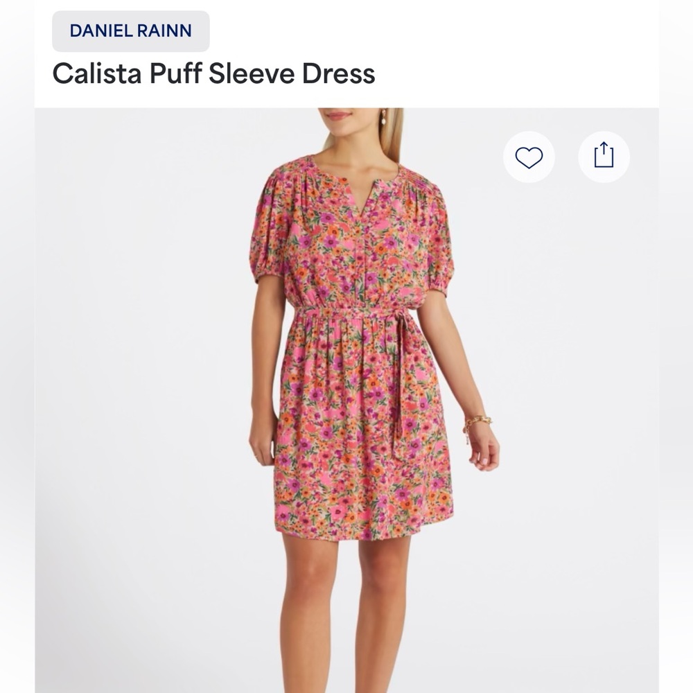 Daniel Rainn Calista Puff Sleeve Dress